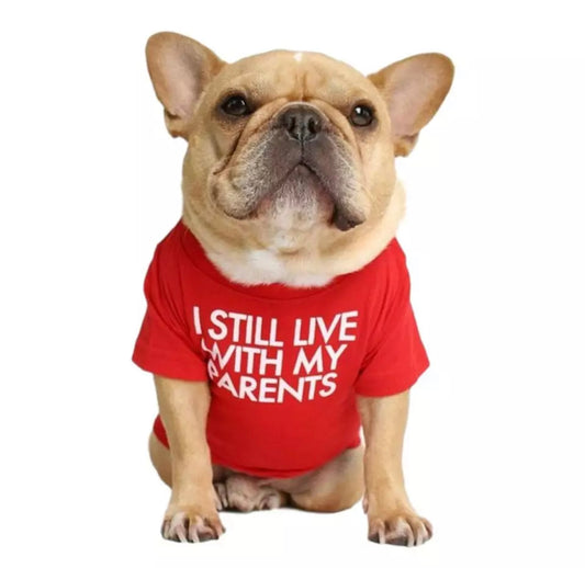 Summer/Spring Dog Clothes Quality Breathable Pet Clothing Soft Letters Printed French Bulldog Clothes for Small Dogs T-shirt